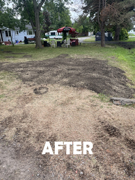 Stump Removal Niagara
